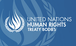 Logo UN Treaty Bodies