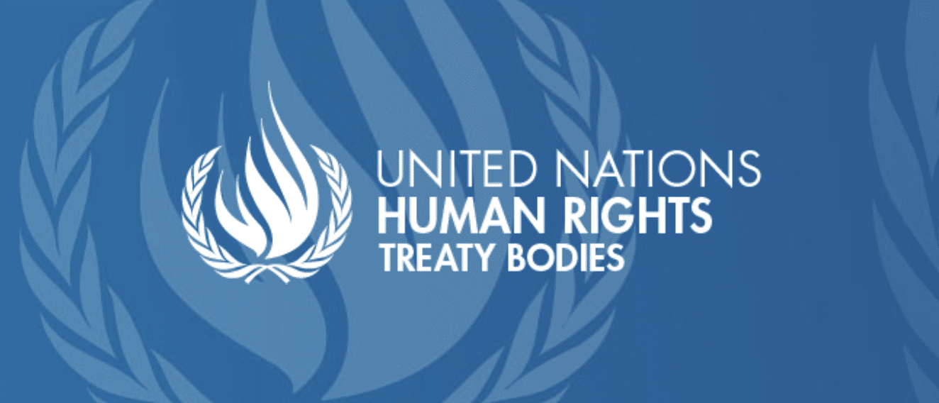 Logo UN Treaty Bodies